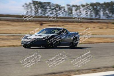 media/Nov-16-2024-CalClub SCCA (Sat) [[641f3b2761]]/Group 6/Grid and Front Straight/